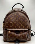 LOUIS VUITTON | Palm Springs MM Backpack