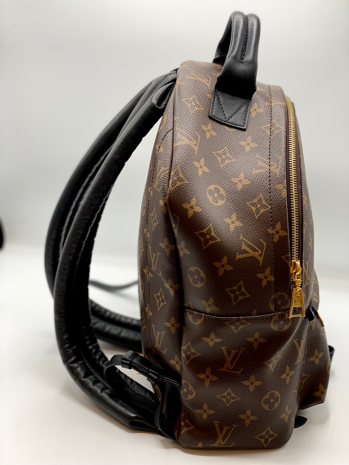 LOUIS VUITTON | Palm Springs MM Backpack