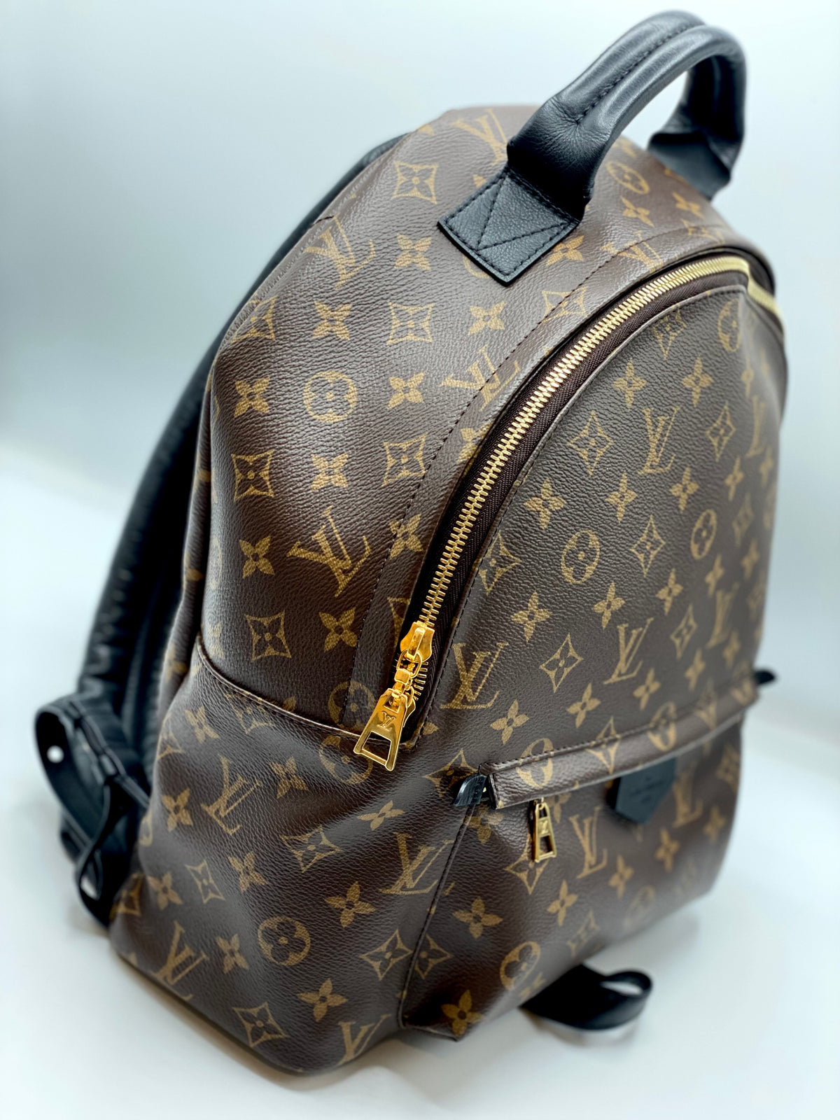 LOUIS VUITTON | Palm Springs MM Backpack