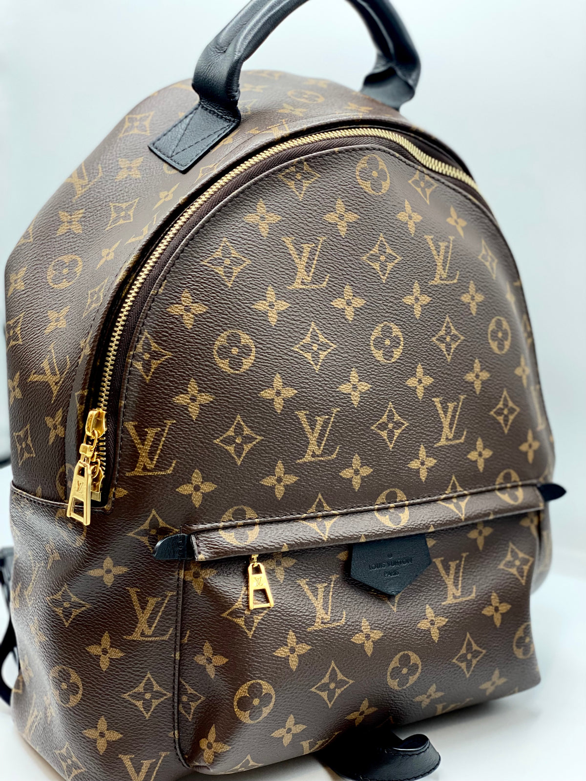 LOUIS VUITTON | Palm Springs MM Backpack