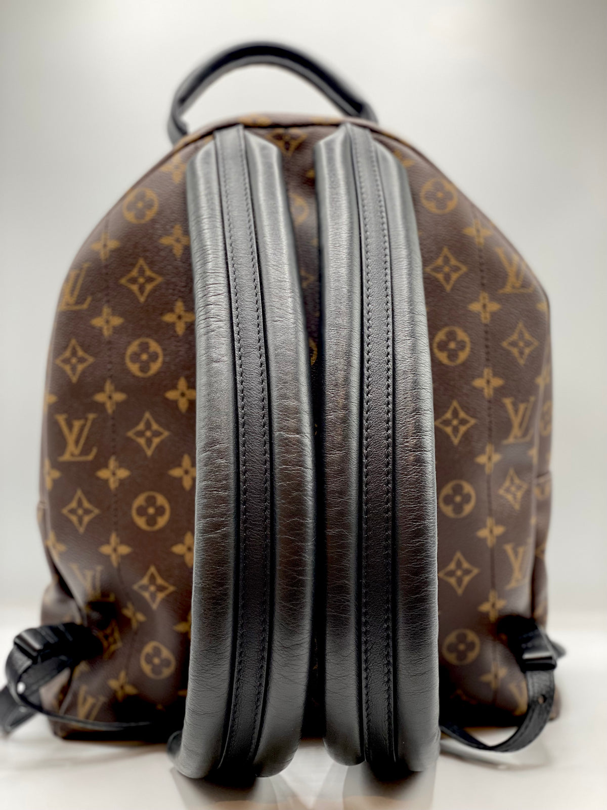 LOUIS VUITTON | Palm Springs MM Backpack