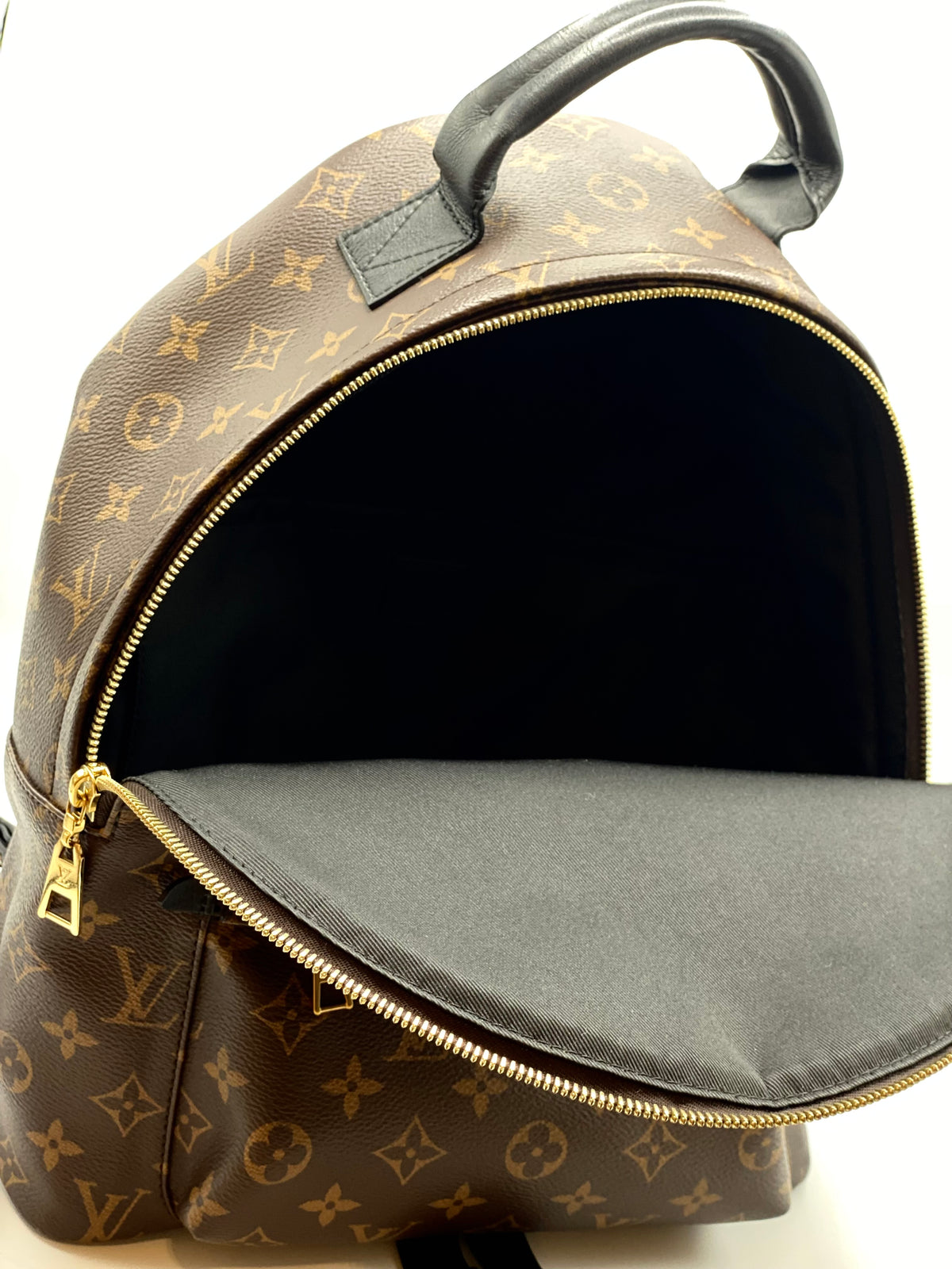 LOUIS VUITTON | Palm Springs MM Backpack