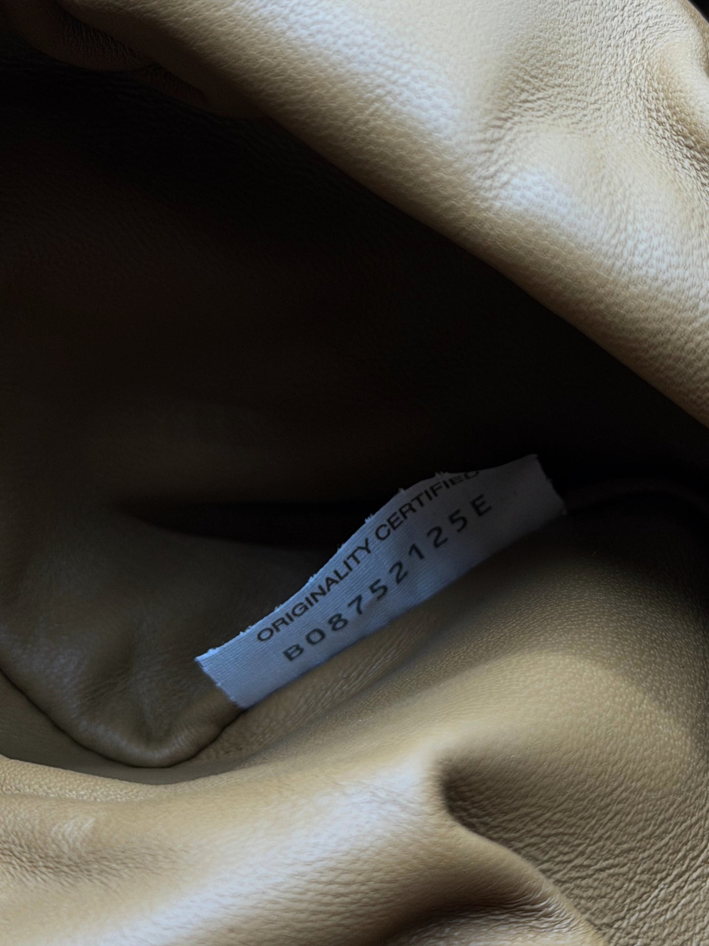 BOTTEGA VENETA | The Pouch Classic Large